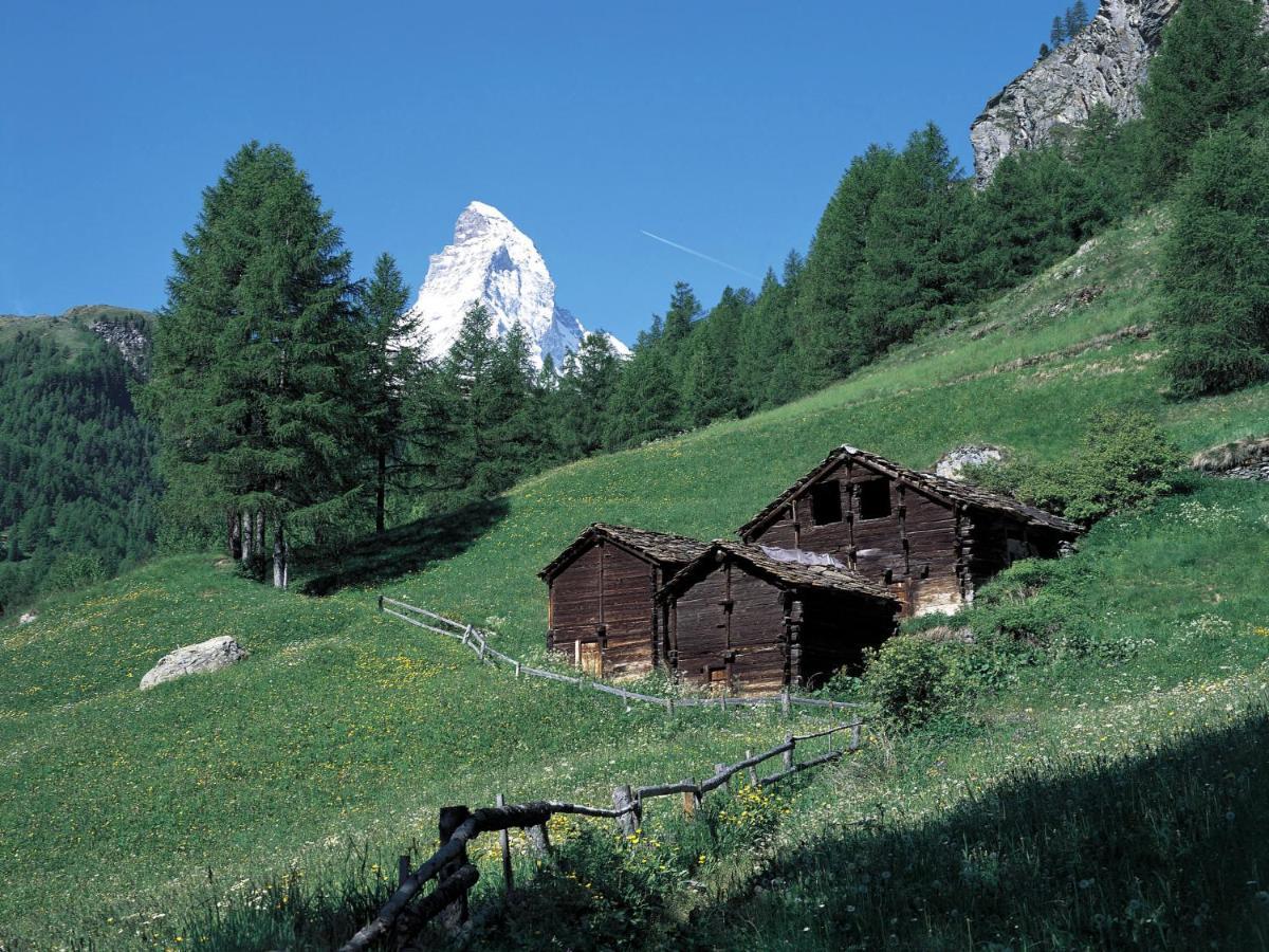 Apartment By Interhome Zermatt Eksteriør billede